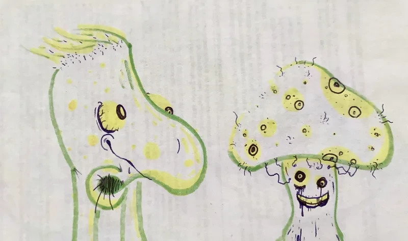 Big nosed man and mushroom