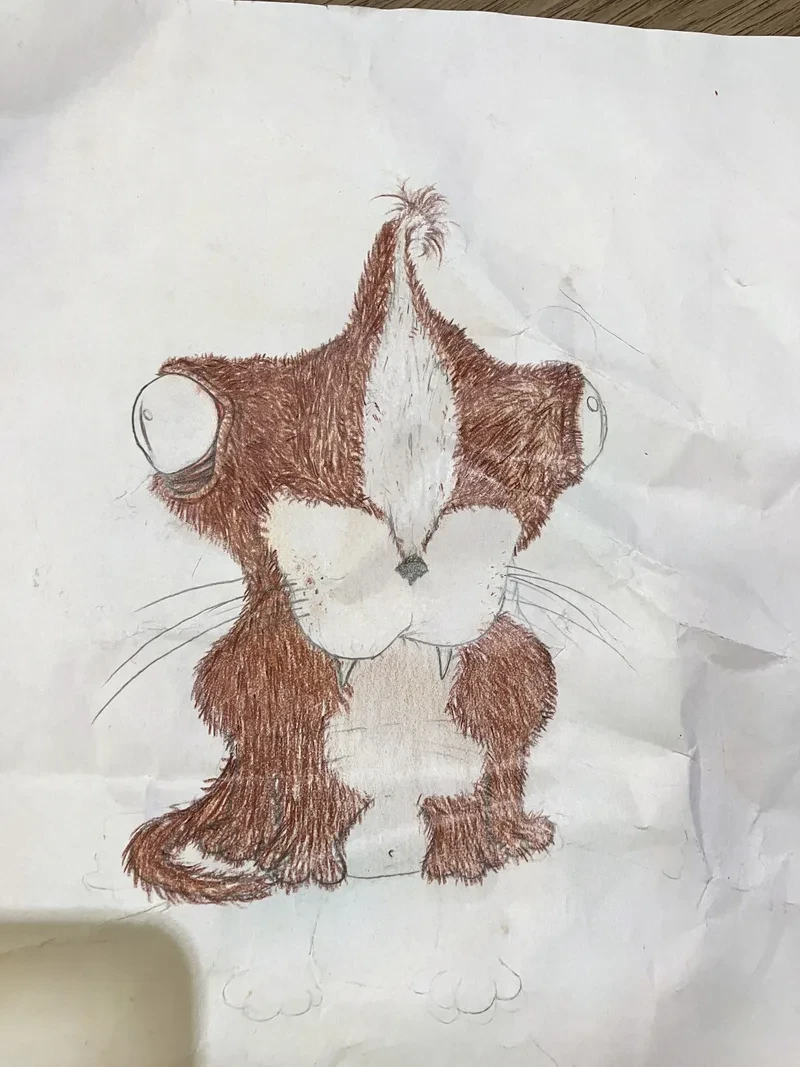 Brown and white kitten